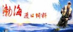 天津渤海海洋進出口有限公司與我公司簽訂網(wǎng)站建設(shè)條款