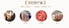 南充市太*食品有限公司企業(yè)網(wǎng)站建設營銷型案例作品