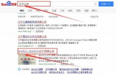 合山*工(遼寧)有限公司網(wǎng)站建設(shè)可視化建站作品欣賞
