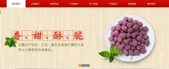 紅太*食品(榮成)有限公司制作網(wǎng)站新一代自助建站、智能建站系統(tǒng)