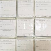 企業(yè)網(wǎng)站設(shè)計(jì)：個(gè)性化與整體性的完美融合