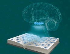 掌握網(wǎng)站SEO優(yōu)化更新，解鎖流量密碼